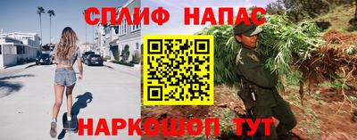 тгк Будённовск