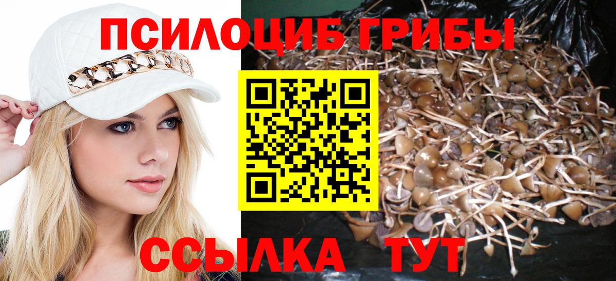 Псилоцибиновые грибы ЛСД Курчатов