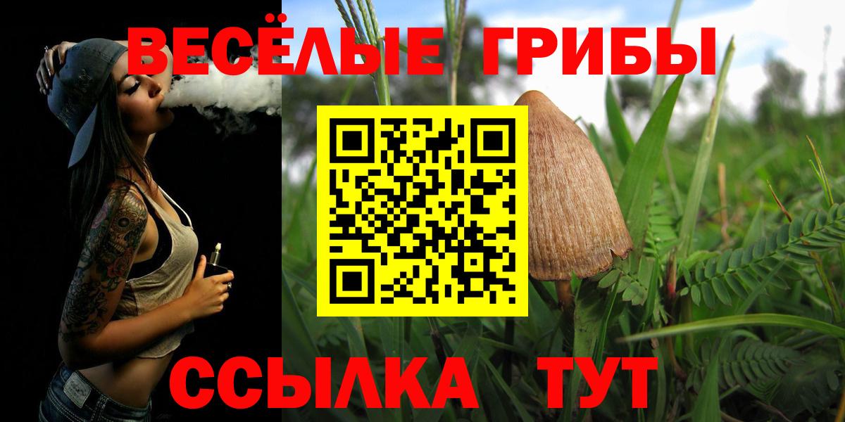 где купить наркоту  Вход с VPN  Галлюциногенные грибы Magic Shrooms  Курчатов  Псилоцибиновые грибы GOLDEN TEACHER 